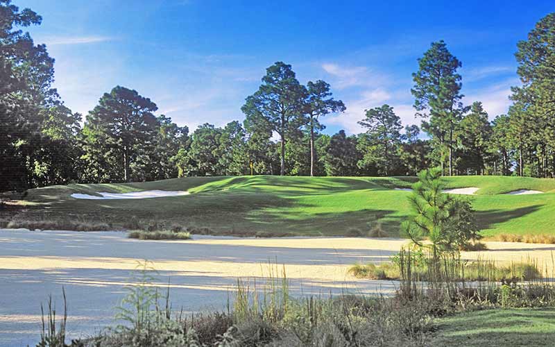 PINEHURST #7